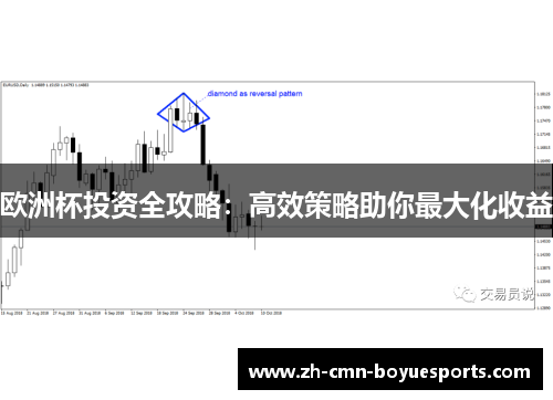 欧洲杯投资全攻略：高效策略助你最大化收益